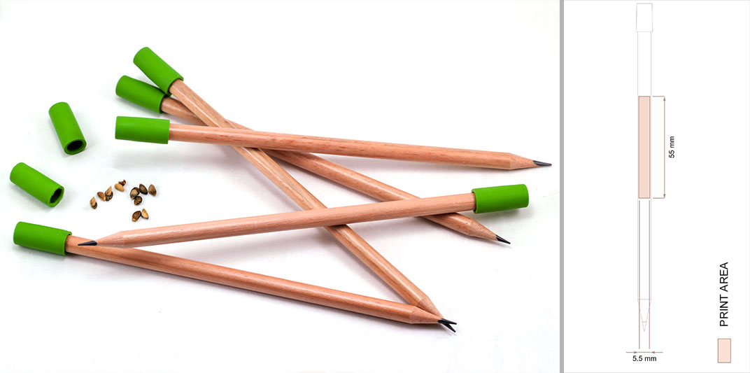 Wooden Pencil with Eraser and Seed