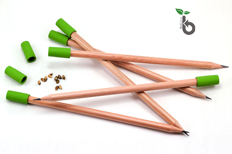 Wooden Pencil with Eraser and Seed